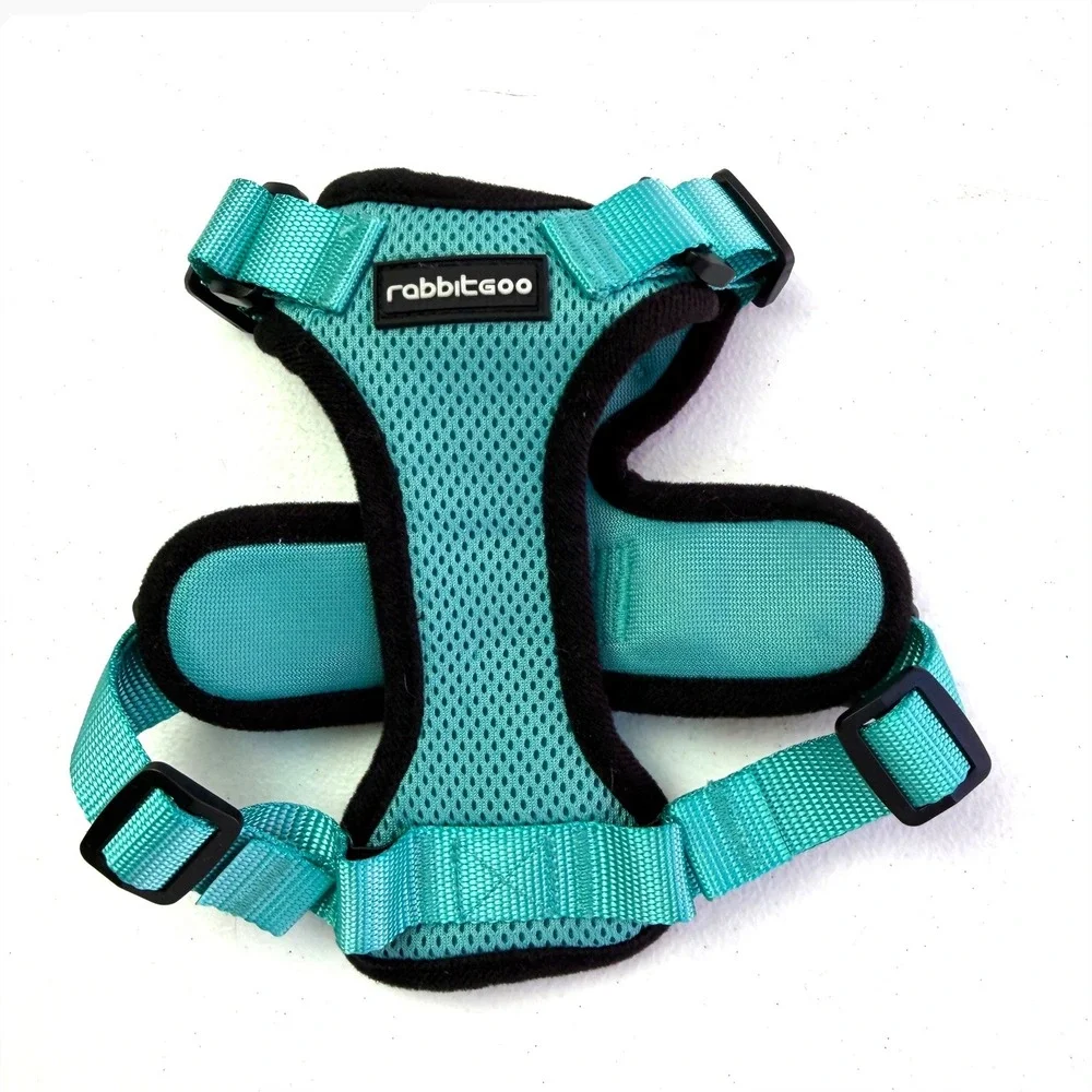 Rabbitgoo Dog Harness XS Teal No Pull Reflective Mesh Adjustabl Walking Vest Pet